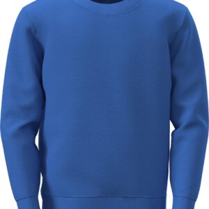 Sweatshirt For Children SST4370 BRR