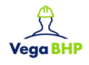 VEGA BHP